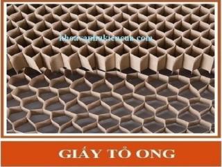 GIẤY TỔ ONG